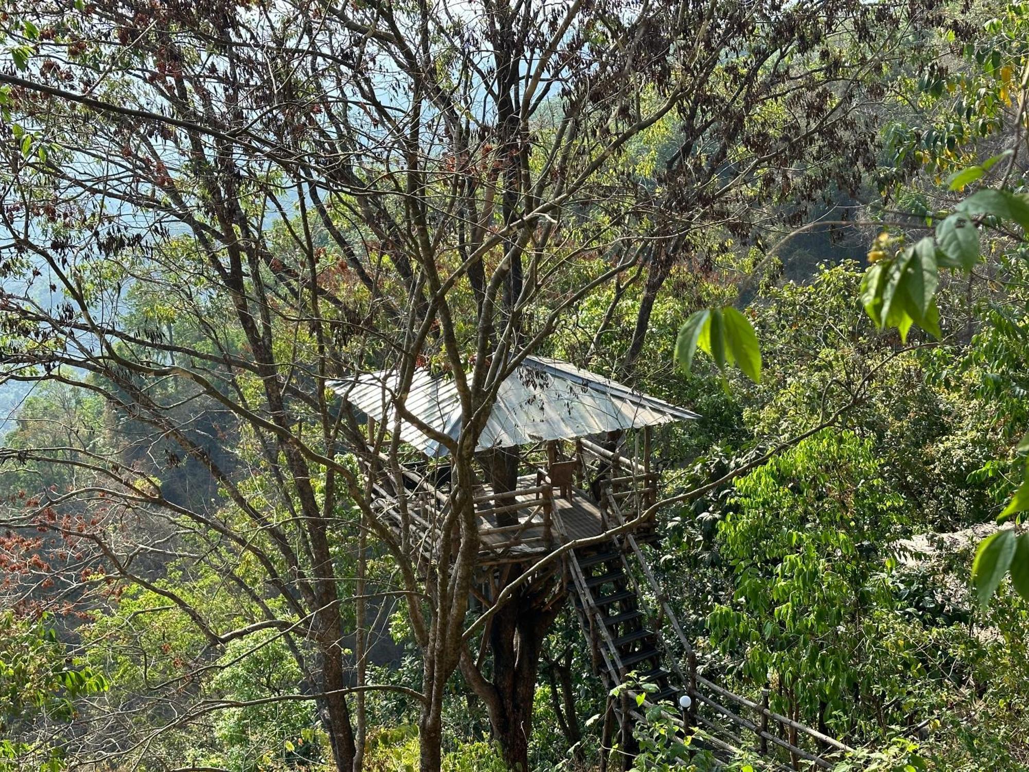 Sunset Valley Kerala Pool Resort - Serene Natural Forest Cottage Stay In Idukki With Sunrise & Sunset Panoramas, Natural Streams & Tranquil Summer Evenings Pirmed Exterior photo